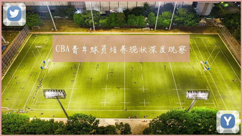 CBA青年球员培养现状深度观察