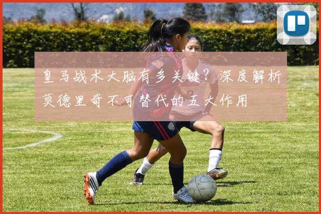 皇马战术大脑有多关键？深度解析莫德里奇不可替代的五大作用